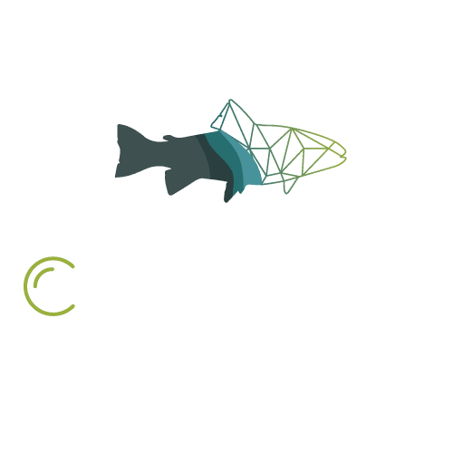 Agencia de Marketing digital