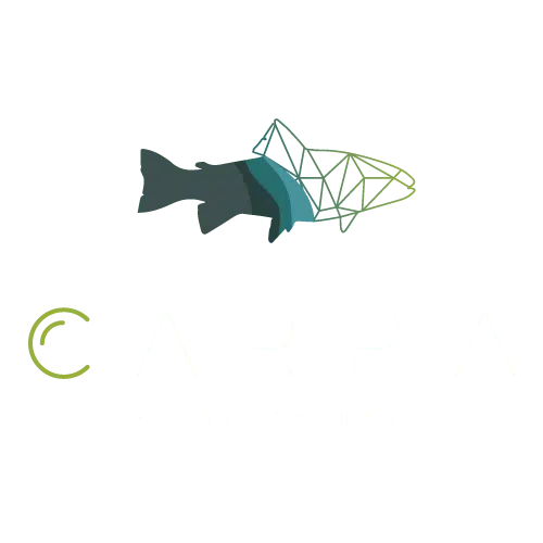 Agencia de Marketing digital